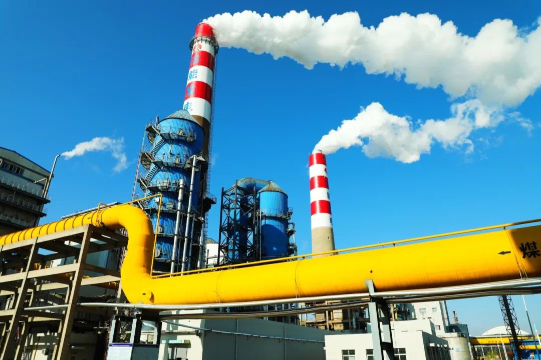 1750386701105544.jpg 2.3.jpg