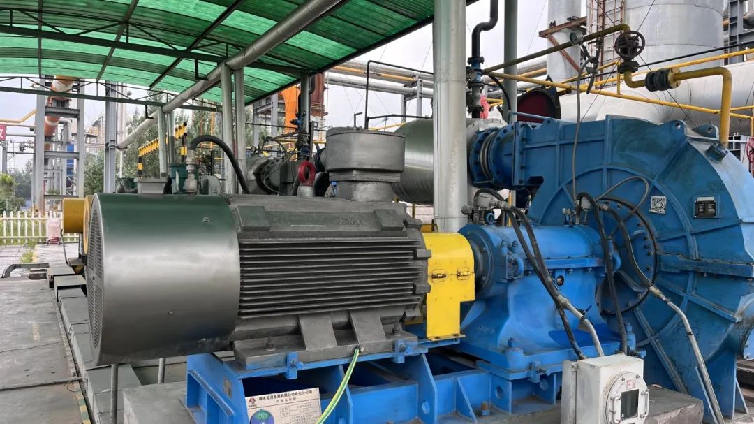 1754612636861152.jpg 2.jpg