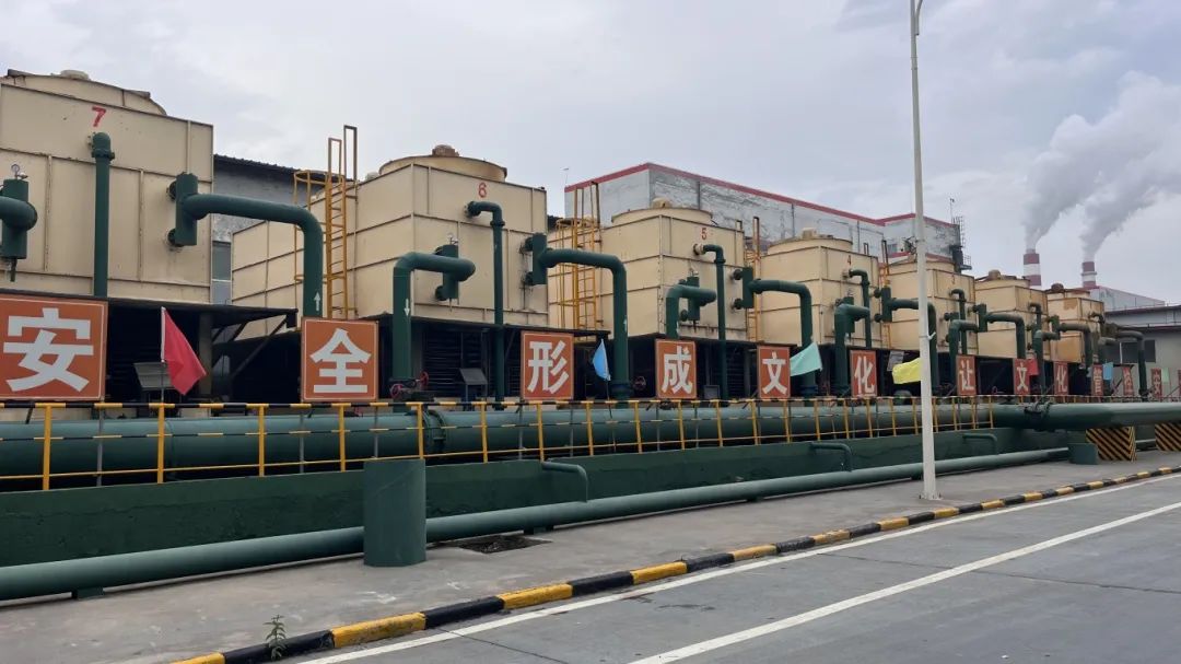 1756167106358626.jpg 640 (7).jpg