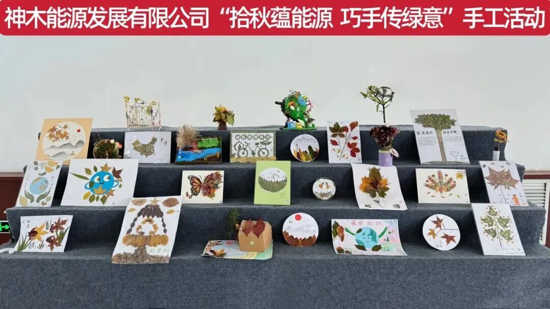 1763338697884991.jpg 2.jpg