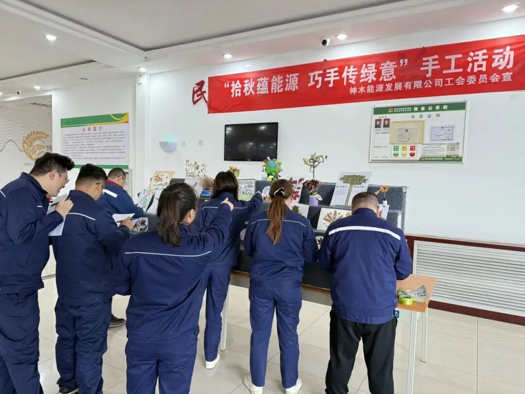 1763338709460526.jpg 2.1.jpg