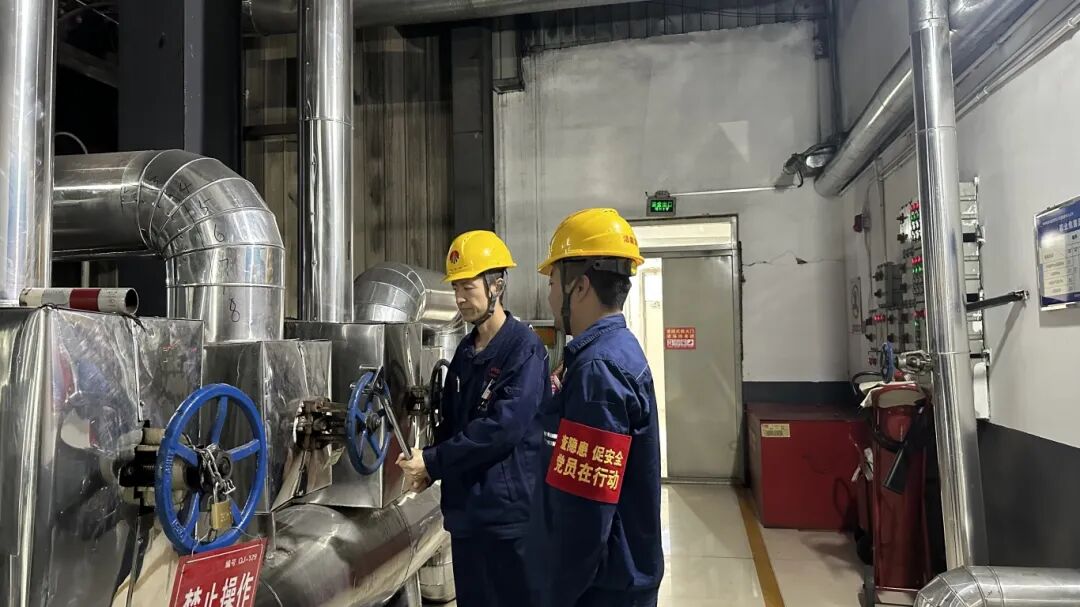 1764030238312970.jpg 2.1.jpg