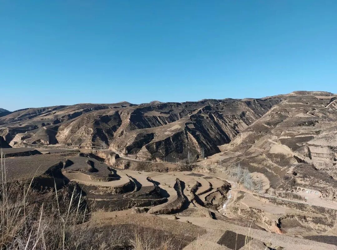 1764031098633858.jpg 6.jpg