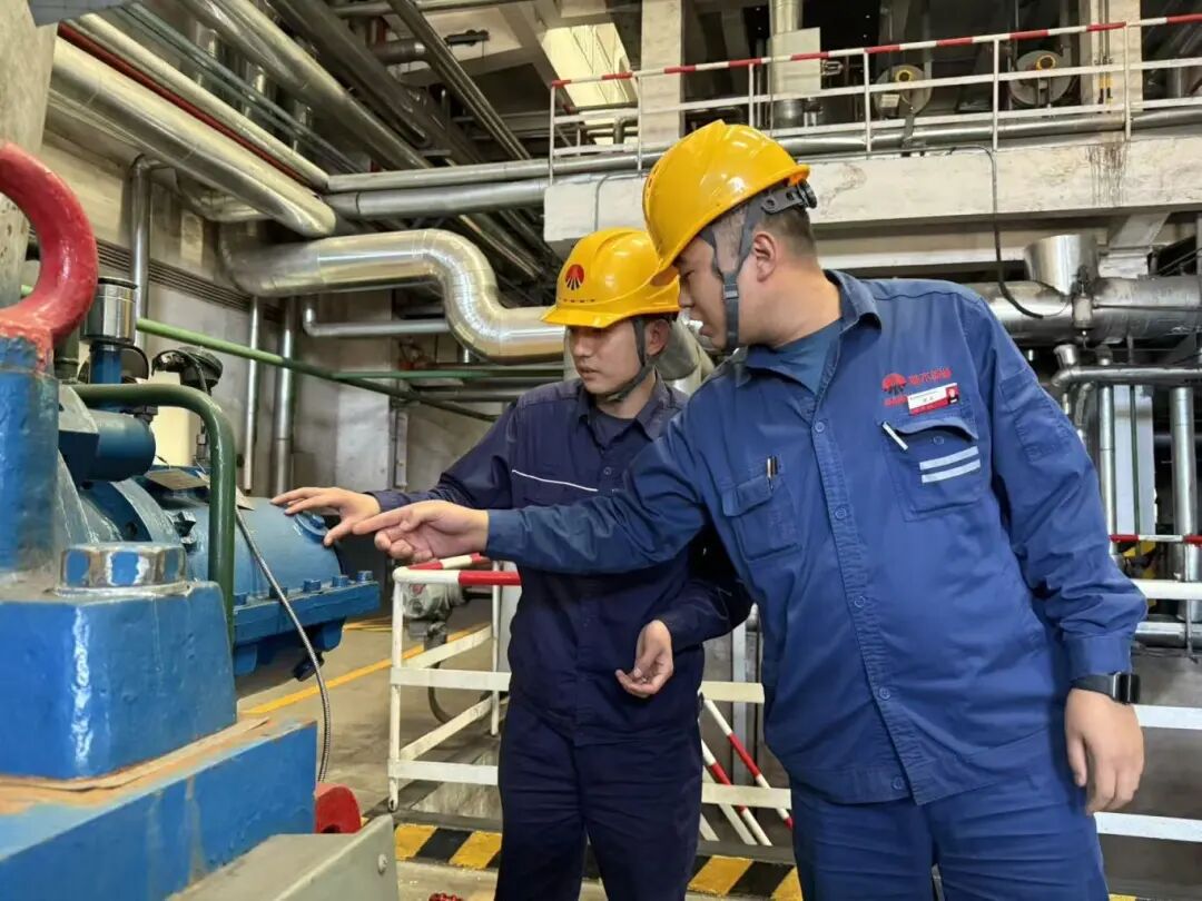 1764918272555454.jpg 9.jpg