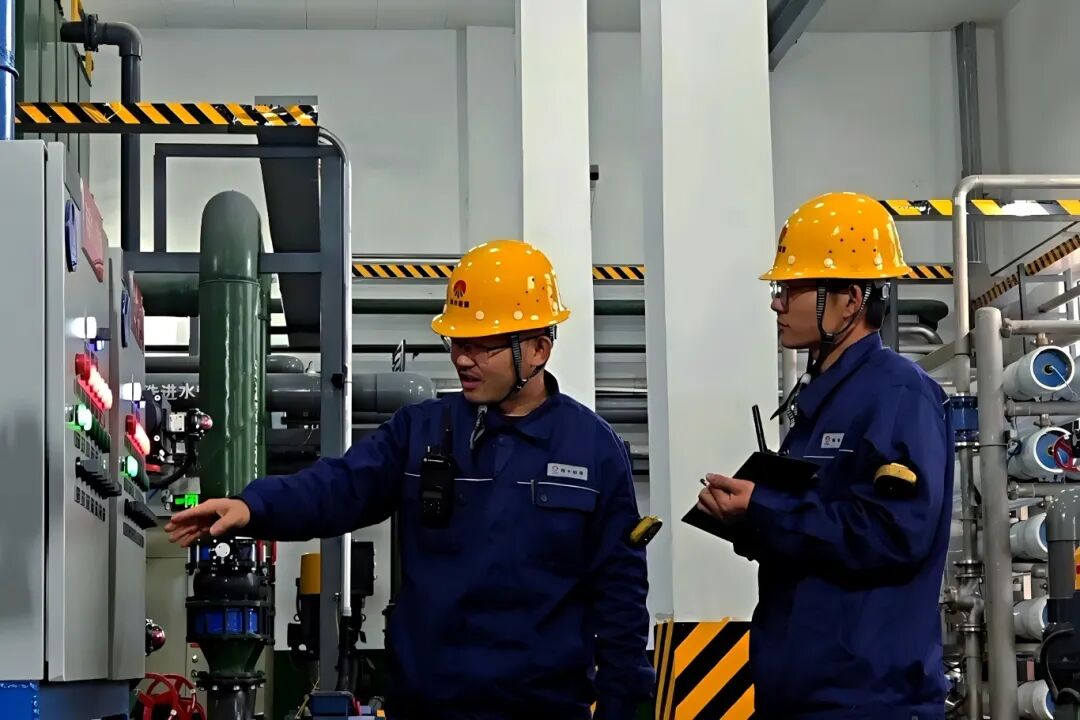 1764918290264731.jpg 9.1.jpg